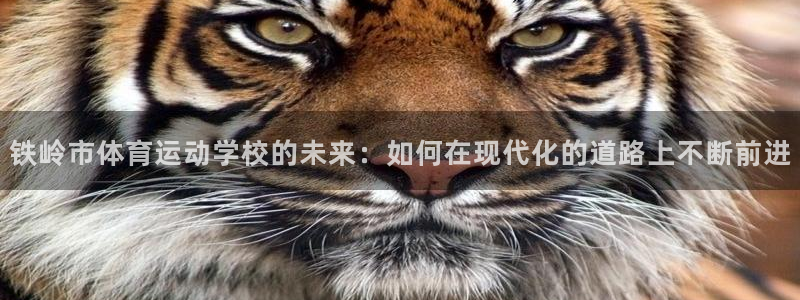 速球体育：铁岭市体育运动学校的未来：如何在现代化的道路上不断前进