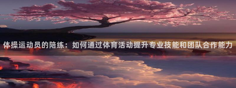 速球体育官网下载：体操运动员的陪练：如何通过体育活动提升专业技能和团队合作能力