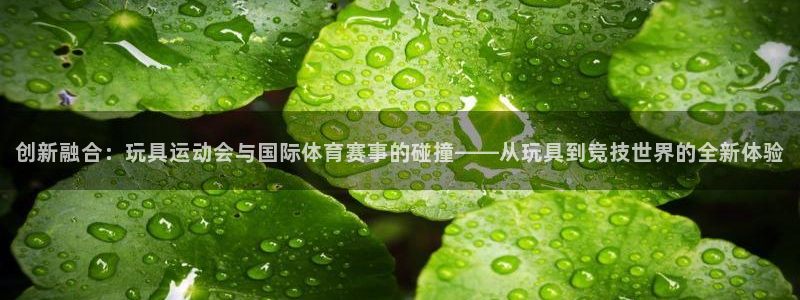 速球体育官网入口：创新融合：玩具运动会与国际体育赛事的碰撞——从玩具到竞技世界的全新体验