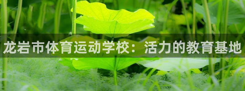 速球体育app最新版：龙岩市体育运动学校：活力的教育基地
