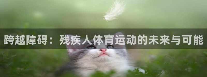 速球体育官网下载：跨越障碍：残疾人体育运动的未来与可能