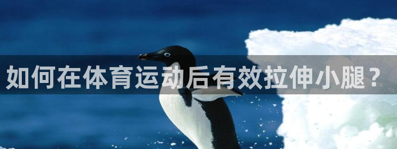 速球体育官网入口：如何在体育运动后有效拉伸小腿？