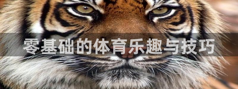 速球体育网址：零基础的体育乐趣与技巧