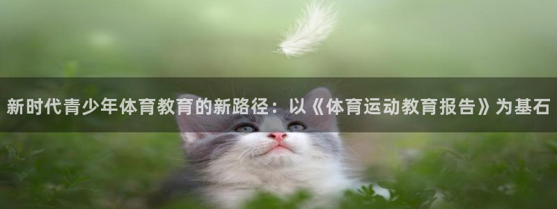 速球体育官方入口地址：新时代青少年体育教育的新路径：以《体育运动教育报告》为基石