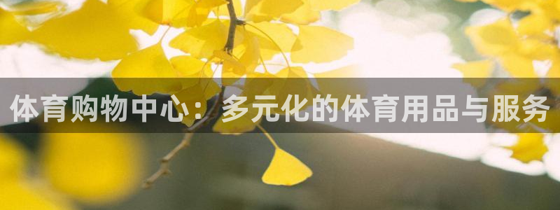 速球体育网址：体育购物中心：多元化的体育用品与服务