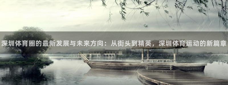 速球体育官网入口：深圳体育圈的最新发展与未来方向：从街头到精英，深圳体育运动的新篇章